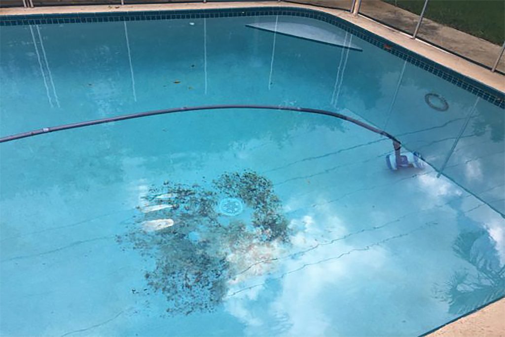 How to Clean a Fibreglass Pool - Factory Pools Perth