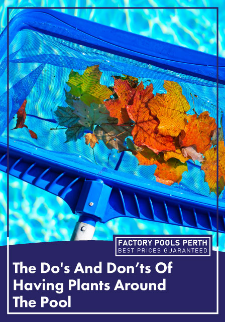 dos-and-donts-of-pool-plants-banner-m