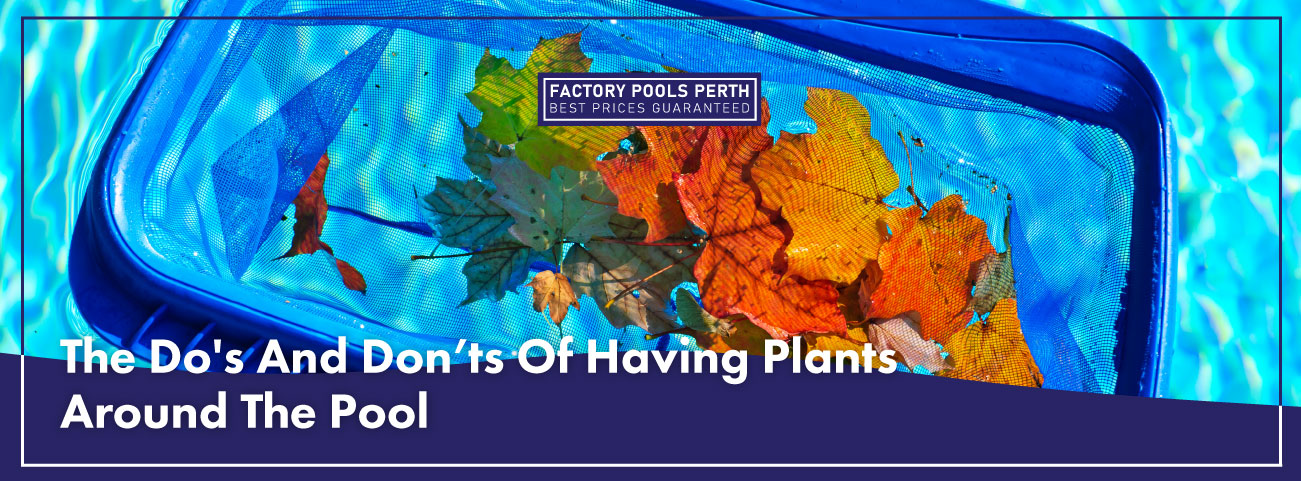 dos-and-donts-of-pool-plants-banner