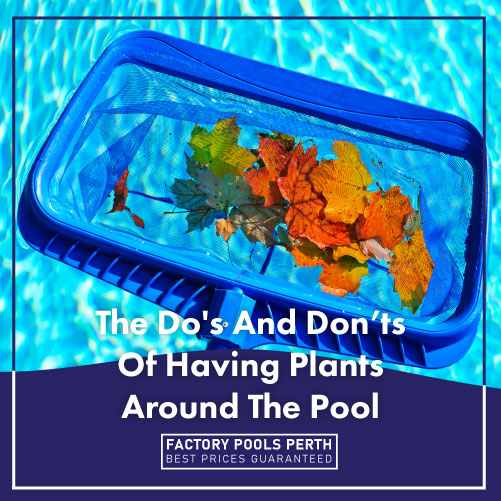 dos-and-donts-of-pool-plants-featuredimage