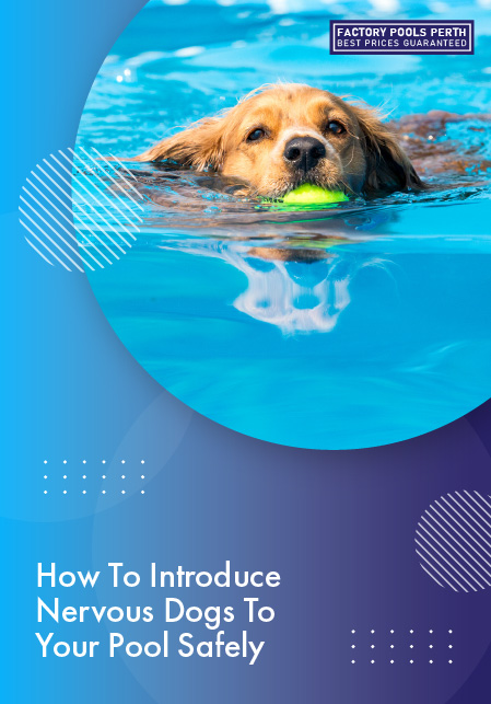 how-to-introduce-nervous-dogs-to-your-pool-safely-banner-m
